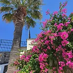 Bella Garden Hotel 4*
