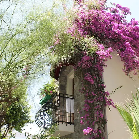 Отель Bella Garden 4*