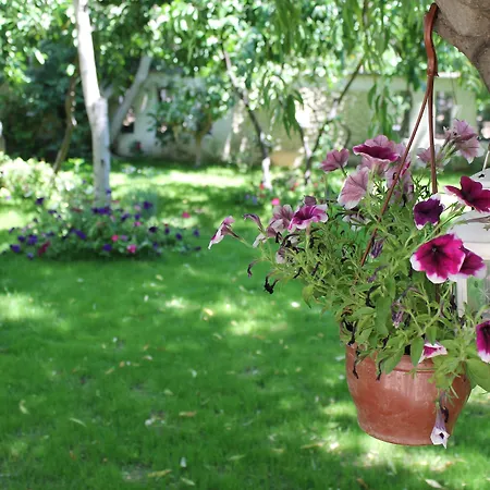 Отель Bella Garden Бодрум