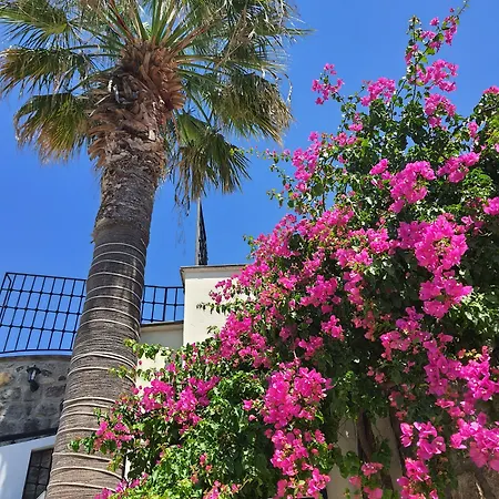 Bella Garden Отель 4*