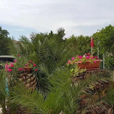 Bella Garden Отель