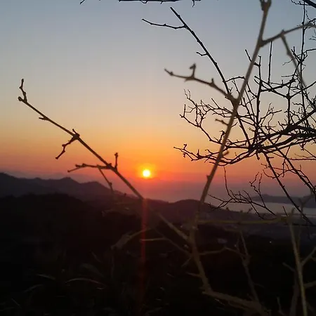 Ξενοδοχείο Bella Garden 4*