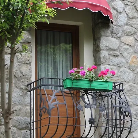 Bella Garden Hotel 4*