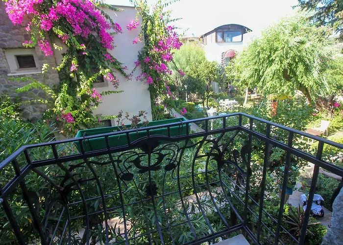 Hotel Bella Garden 4*