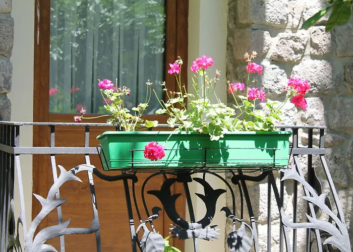 Bella Garden Αλικαρνασσός