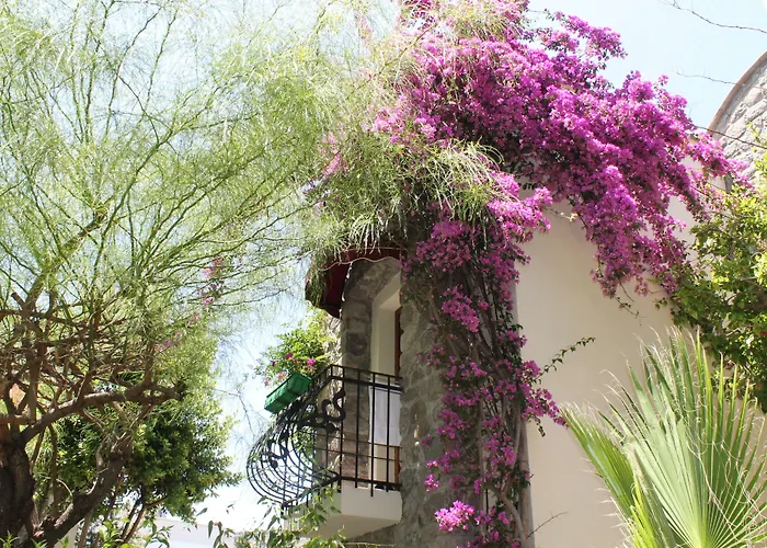 Otel Bella Garden 4*