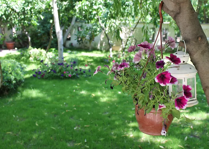 Ξενοδοχείο Bella Garden Αλικαρνασσός