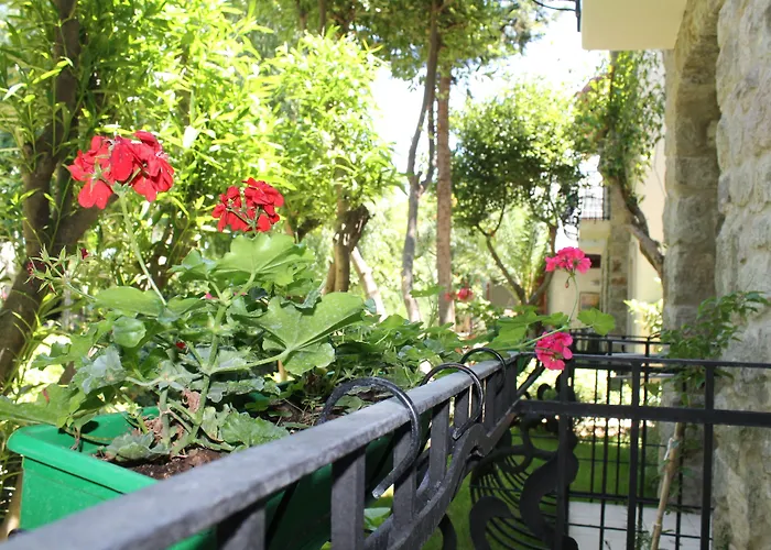 Bella Garden Ξενοδοχείο Αλικαρνασσός