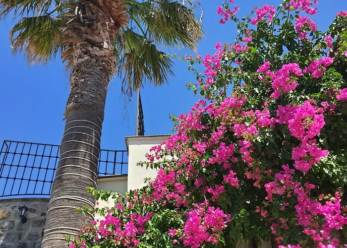 Bella Garden Otel 4*