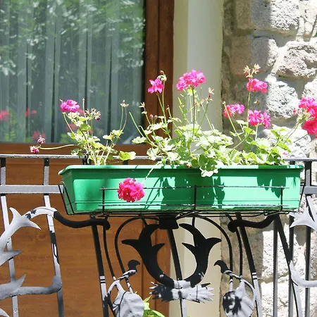 Bella Garden Bodrum